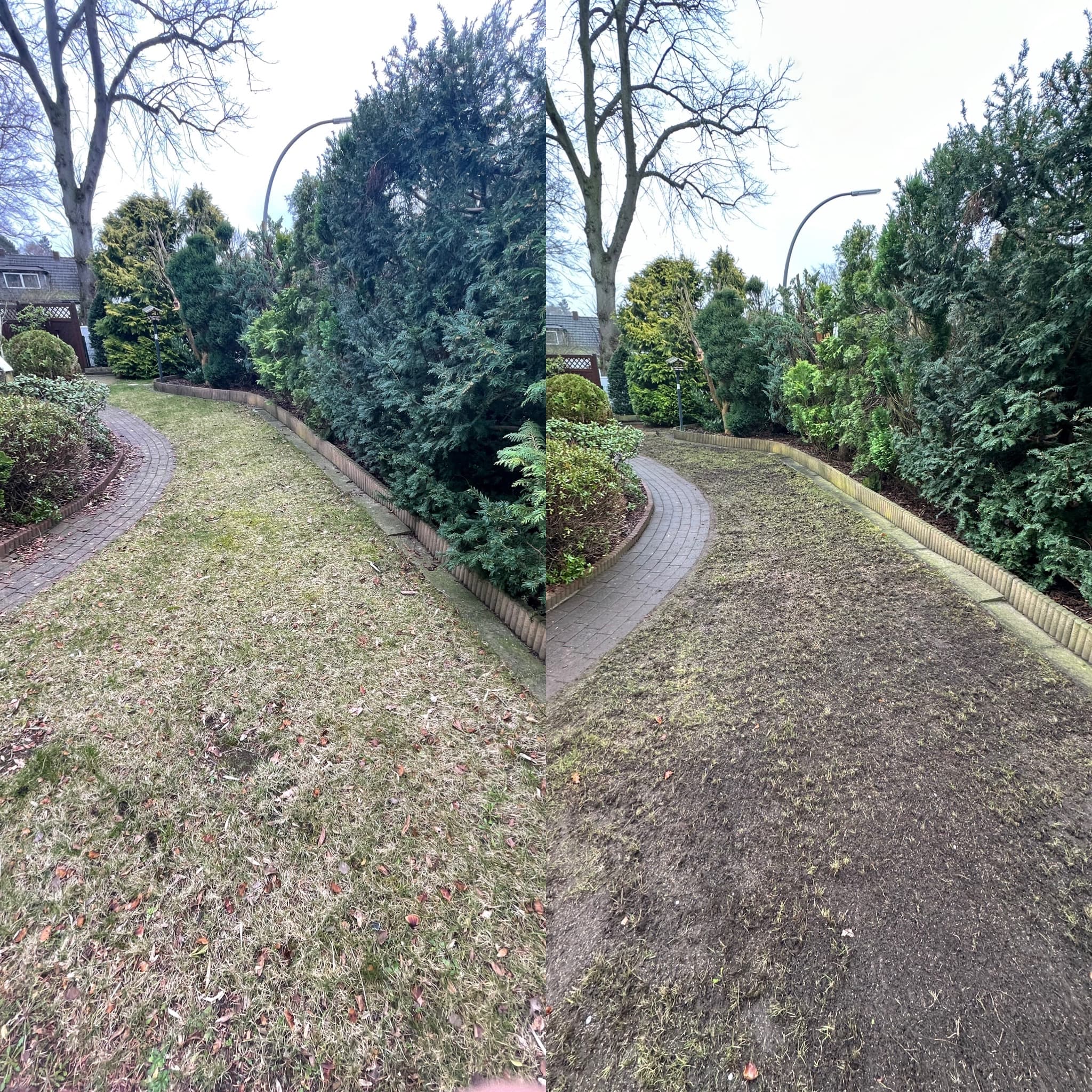 Hecke vor und nach dem Schnitt