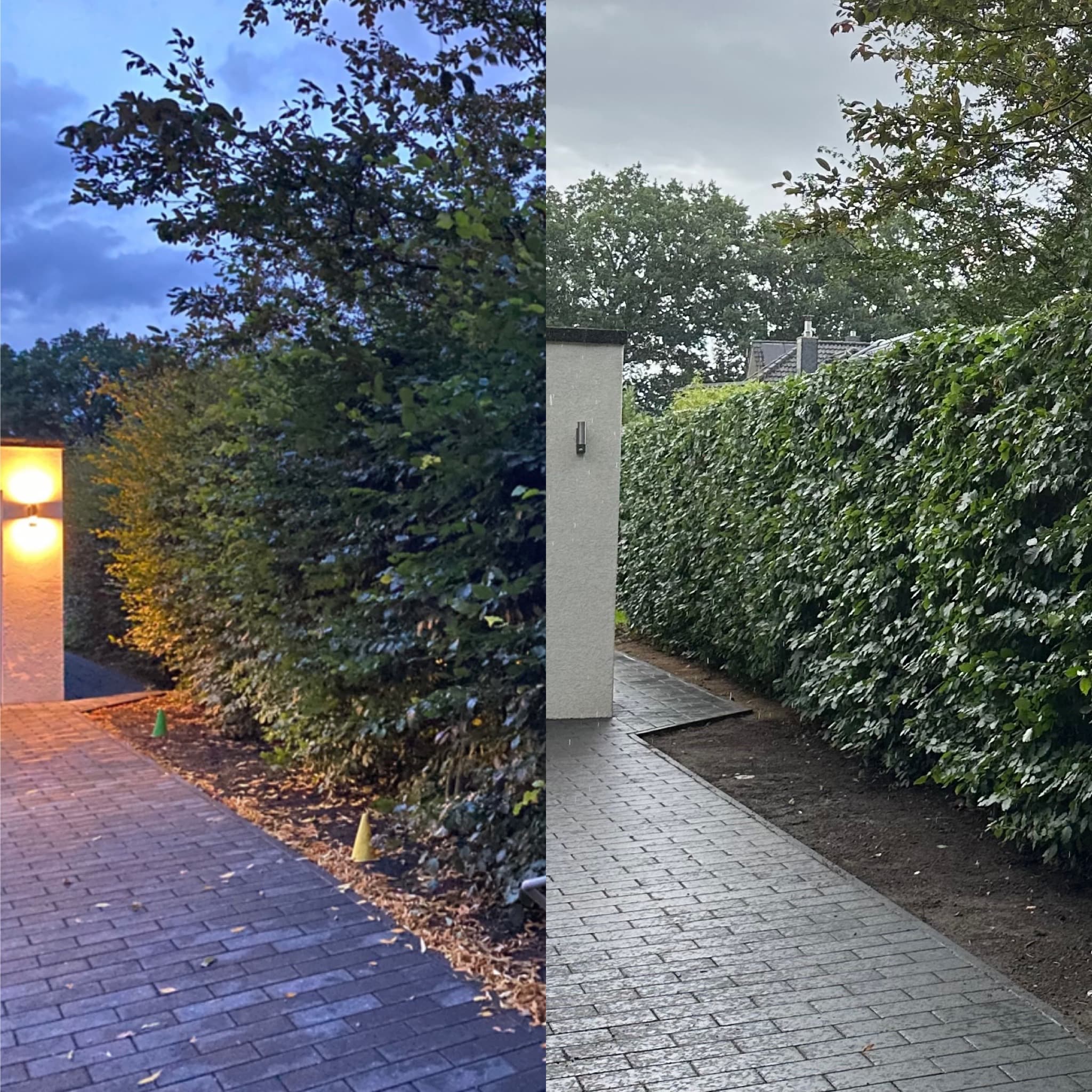 Garten vor und nach Pflege